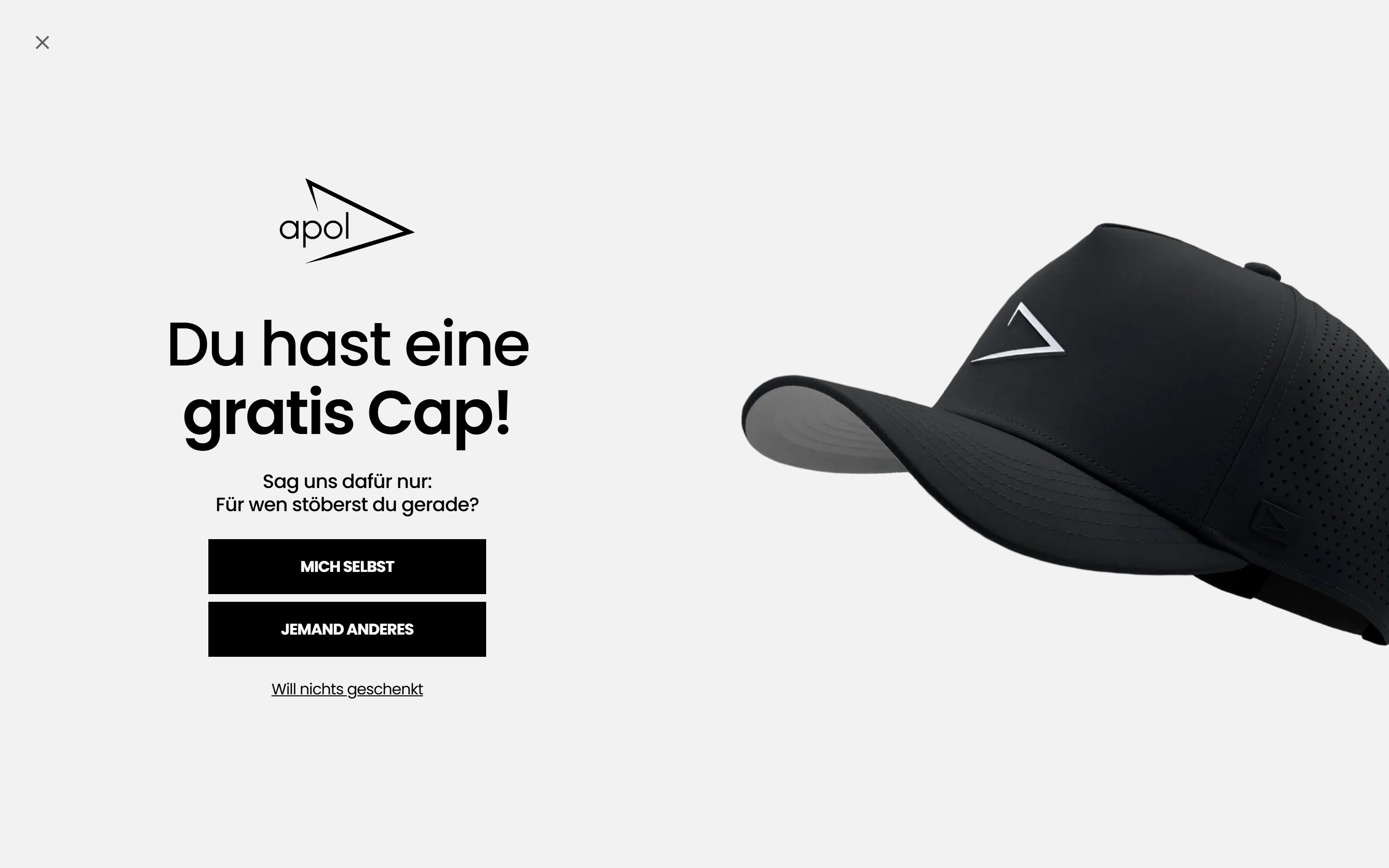 apol. Website-Screenshot